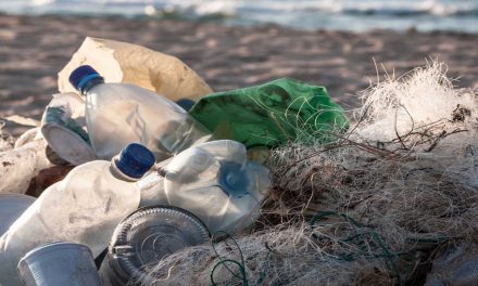 دروغی به قدمت ۵۰ سال: بازیافت پلاستیک سیاره ما را حفظ می‌کند